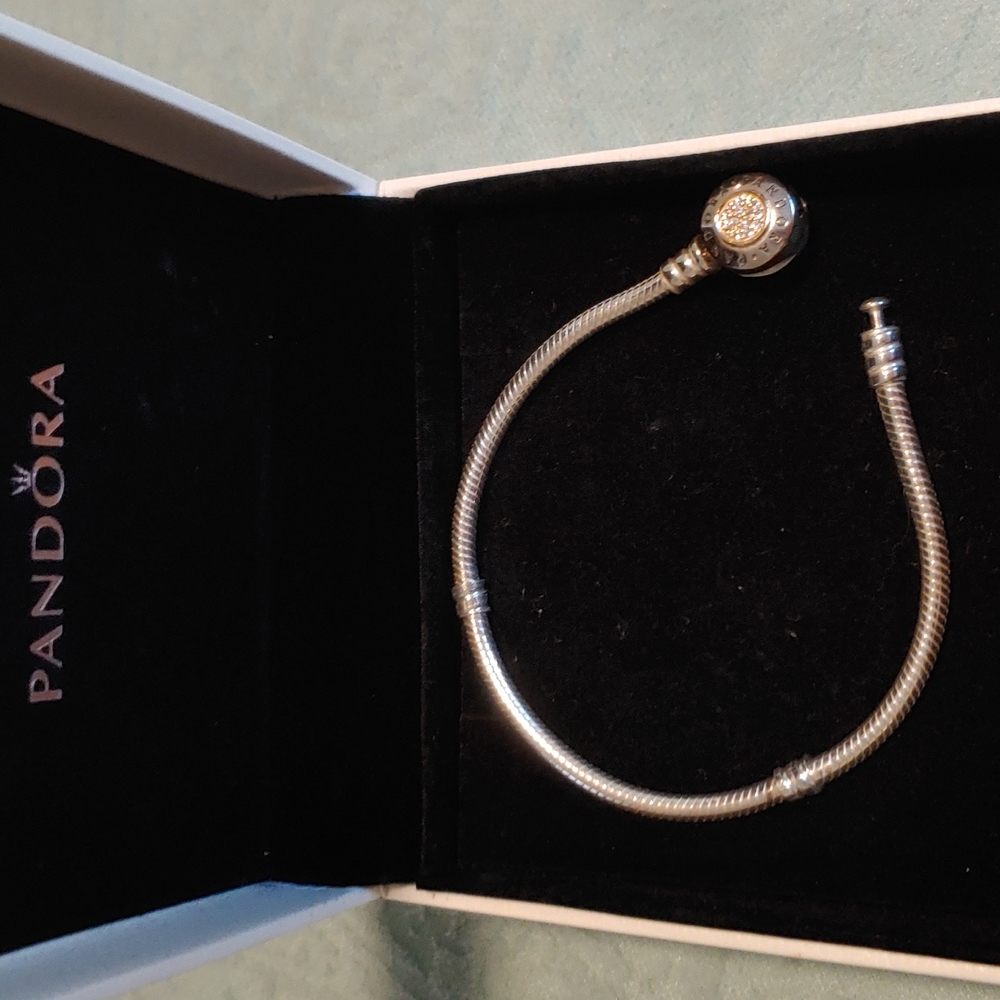 Pandora Charm braclet never worn
